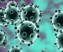 Teži pacijenti zaraženi koronavirusom imaju sklonost ka stvaranju krvnih ugrušaka