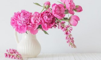Najraskošnije cvijeće: Vjeruje se da donosi sreću u ljubavi 