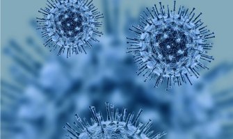 Koronavirus napada i bubrege: U roku od 48 sati virus se razmnožio 1.000 puta