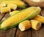 Evo zbog čega treba da jedete kukuruz 