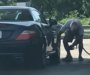 Benzinom prao auto,  htio dodatni sjaj na kolima (VIDEO)
