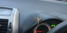 Bizarna nesreća u Britaniji: Vozač se zakucao u stub javne rasvete dok je pokušavao da se otarasi pauka (FOTO)