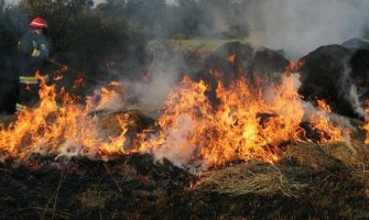 Gardašević: Situacija nije alarmantna, požar kod Nikšića pod kontrolom 