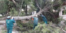 Nevrijeme u Podgorici: Tokom noći oborena stabla, uništeno više automobila... (FOTO) 