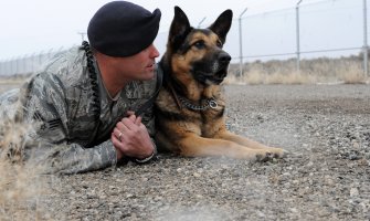 Vojni psi u SAD-u bi mogli dobiti 