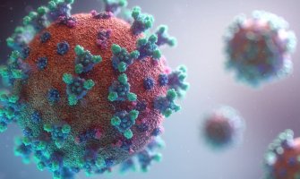 Više od 88 miliona ljudi zaraženo u svijetu koronavirusom, preminulo 1.914.057 pacijenata
