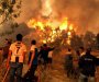Masa linčovala čovjeka optuženog za podmetanje šumskih požara u Alžiru