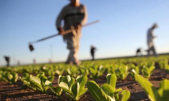 Neiskorišćeno državno zemljište dati poljoprivrednicima