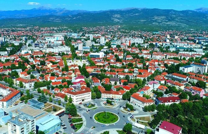 Javna rasprava o kontroli populacije pasa na teritoriji opštine Nikšić