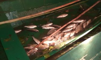 Počinje ribolovni zabran u Skadarskom jezeru, prijavite krivolovce