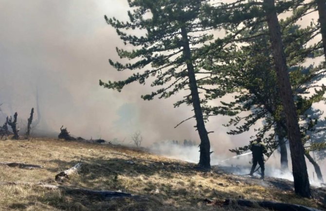 Ugašen požar u NP Durmitor: Odbranjene kuće u mjestu Stup