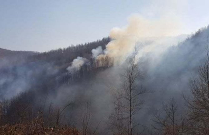 OB Bijelo Polje radi na otkrivanju lica koja su izazvala šumske požare: Primljeno 16 prijava građana