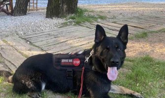 Nikšić: Služba zaštite i spašavanja nabavila prvog radnog psa
