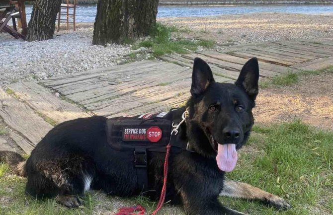 Nikšić: Služba zaštite i spašavanja nabavila prvog radnog psa