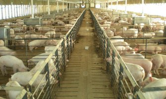 Farma svinja u Spužu više neće širiti neprijatne mirise
