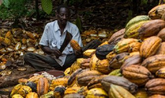 Čovjek koji čitavog života uzgaja kakao prvi put probao čokoladu (VIDEO)