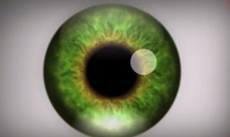 Ova optička varka može izazvati halucinacije! (VIDEO)