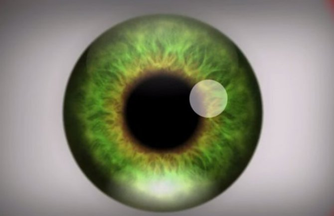 Ova optička varka može izazvati halucinacije! (VIDEO)