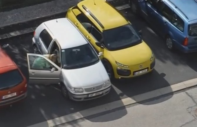 Plavuša se bori... I uspijeva iz šestog pokušaja da parkira svoj automobil!(VIDEO)