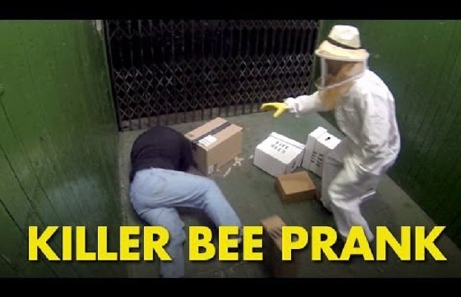 Evo kako da ne reagujete kada vas napadnu pčele ubice