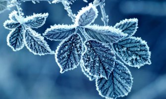 Hladnoća odnosi oko 20 puta više zivota od vrućine