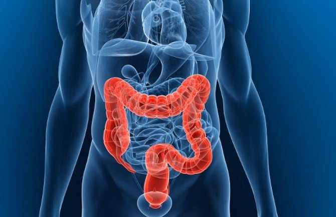 Nosimo čak 15 kg otrova u crijevima: Evo kako da izbacite toksine iz organizma!