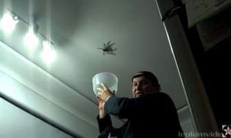 Ako se plašite paukova, bolje ne gledajte ovaj video snimak! (VIDEO)