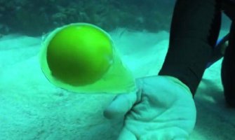 Šta se dešava kada razbijete jaje na dnu okeana?