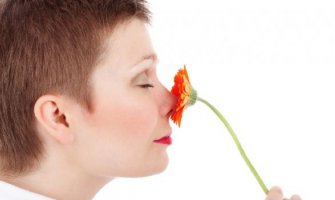 Slabljenje čula mirisa upozorava na kraj životnog vijeka