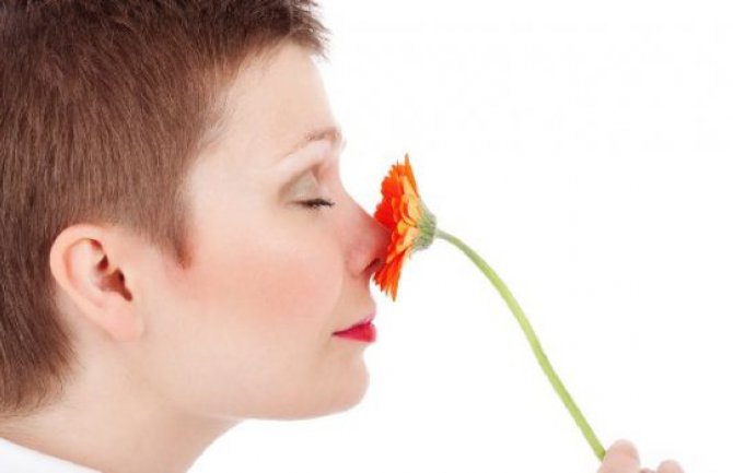 Slabljenje čula mirisa upozorava na kraj životnog vijeka