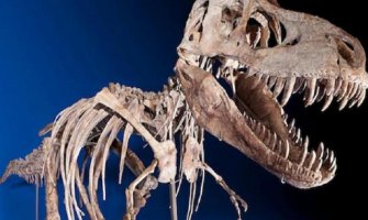  Pronađen fosil dinosaurusa star 68 miliona godina