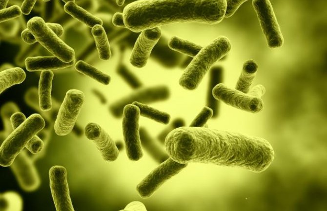 Dobre bakterije liječe i alergije