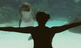 Ova djevojka je uspjela da učini nešto čarobno: Ona je nasmijala delfina!  (VIDEO)