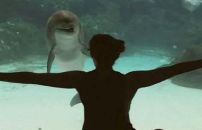 Ova djevojka je uspjela da učini nešto čarobno: Ona je nasmijala delfina!  (VIDEO)