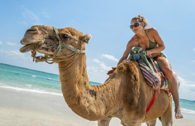 Odakle Arapi uvoze kamile i još 19 zanimljivosti o svijetu