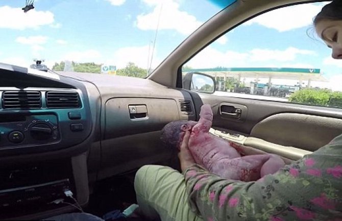 Nevjerovatno: Ona se porađa, on vozi i... snima je?! (VIDEO)