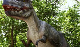  Argentinski naučnici  otkrili novu vrsta dinosaurusa