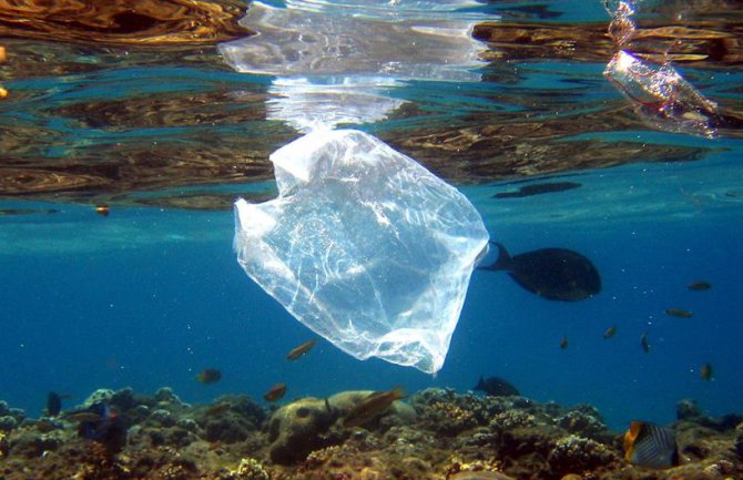 EU zabranila prodaju plastičnih proizvoda za jednokratnu upotrebu