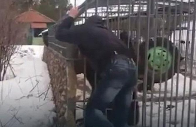 Ko će drugi nego Rusi: Stavio ruku u kavez sa medvjedom i evo šta se desilo (VIDEO)