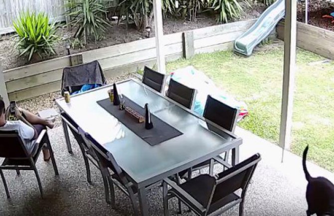 Opušteno je sjedio u dvorištvu svoje kuće, a onda je naišla... (VIDEO)