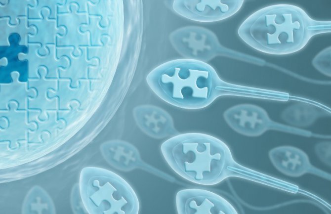 Manji broj spermatozoida povećava rizik od raznih bolesti