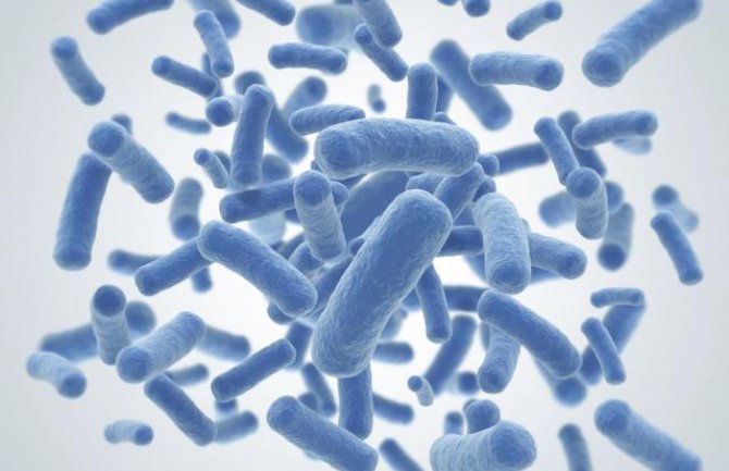 EU: Bakterije otporne na antibiotike godišnje odnesu 33.000 života