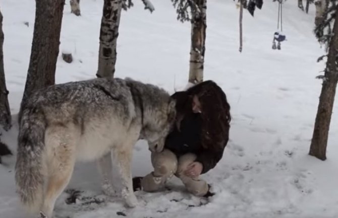 Pogledajte kako djevojka komunicira sa vukom! (VIDEO)