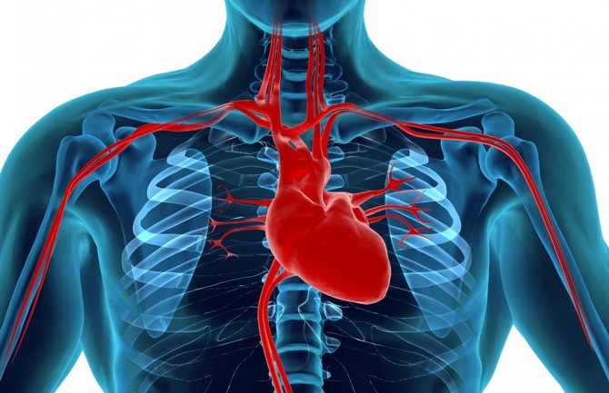 Poštujte ovih PET pravila i smanjite rizik od srčanog udara za 86%