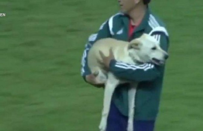 Pas upao  na fudbalski teren i počeo da skače od sreće (VIDEO)
