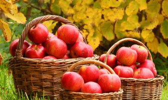 Ovo su zdravi načini kako treba jesti jabuke