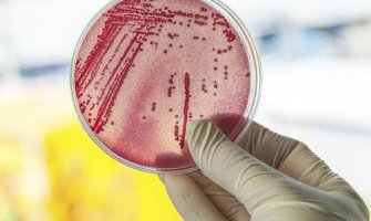 Naučnici pronašli novi antibiotik