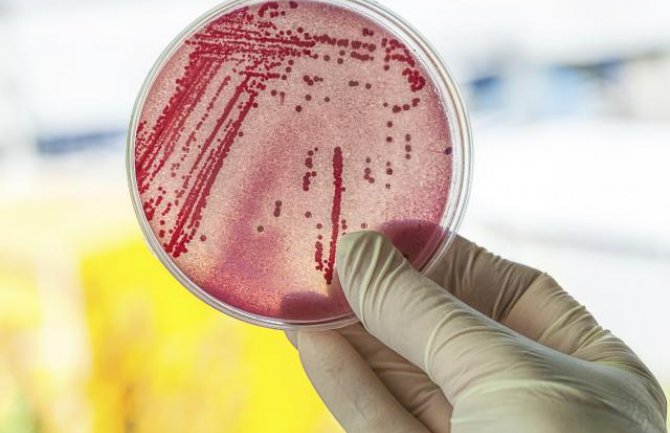 Naučnici pronašli novi antibiotik