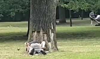 Besramni par snimljen tokom seksa u parku (Video 18+)