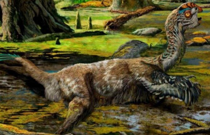 Naučnici vjeruju: Fosil dinosaurusa zarobljen u blatu 72 miliona godina